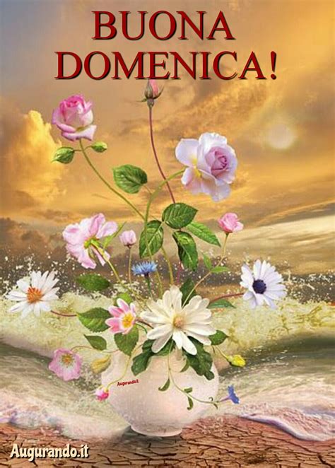 buona domenica|buona domenica in english.